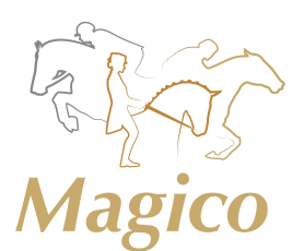MAGICO stud